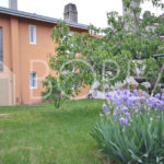 02_affitto_sistiana_giardino_condominiale