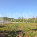04_Duino-Aurisina_casale_carsico_in_pietra_con_vigna