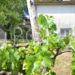 17_casa_con_giardino_duino_aurisina