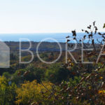 01_casa_vendita_duino_aurisina_vista_mare
