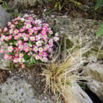 07_vendita-bifamiliare-appartamento-giardino-sistiana-trieste