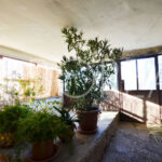 24_Duino_aurisina_casa_in_vendita_con_giardino
