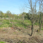 20150415_160853