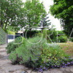 04_affitto_sistiana_due_stanze_giardino